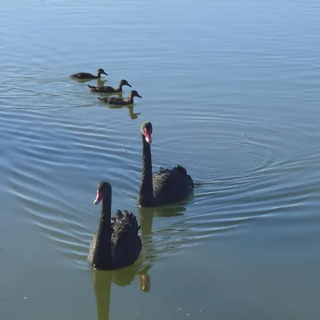 Flamingo Apartamento Lesina